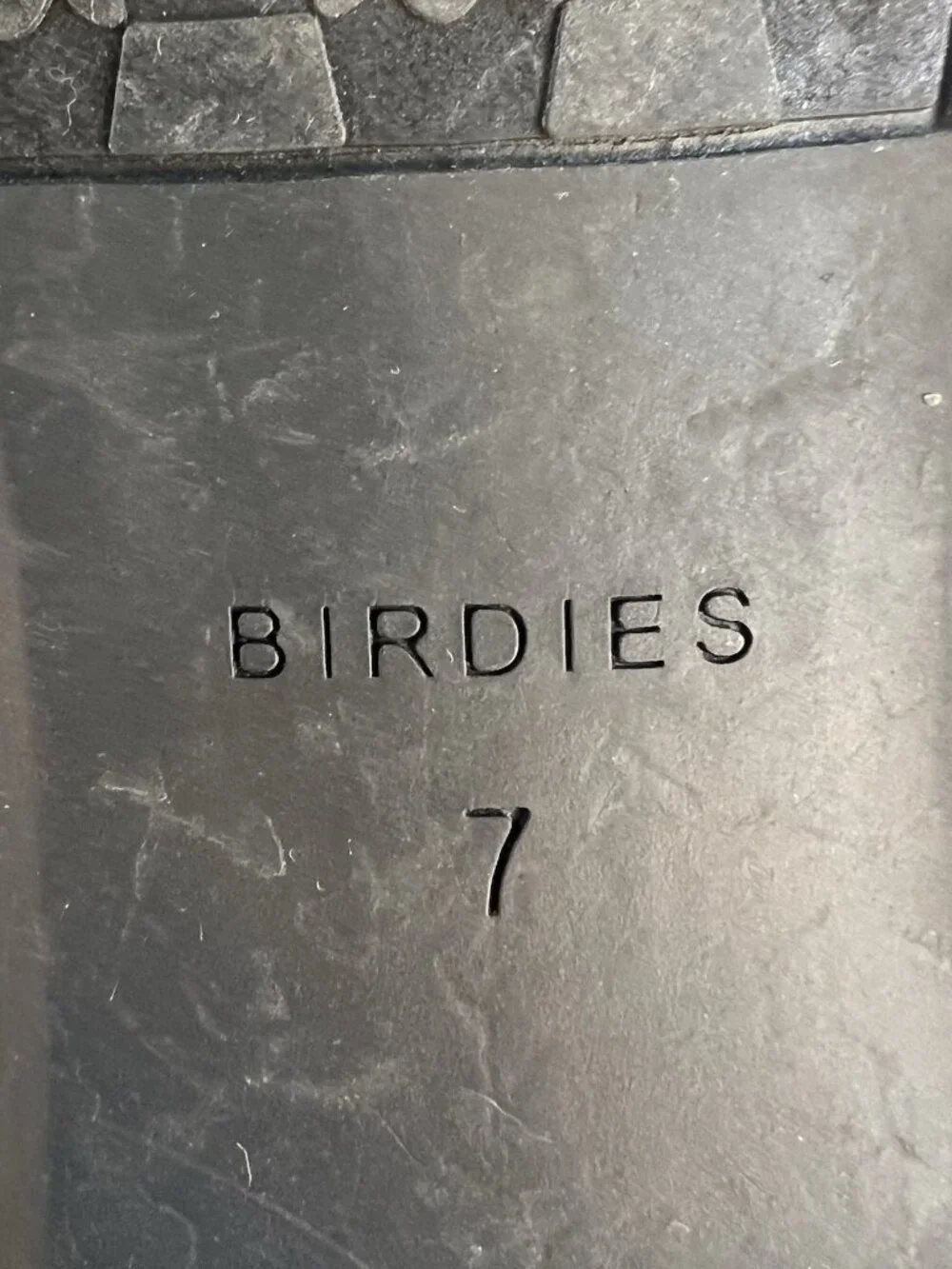 Birdies starling flats